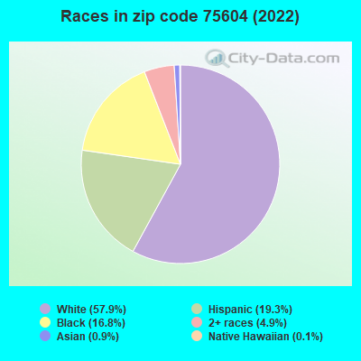Races in zip code 75604 (2019)