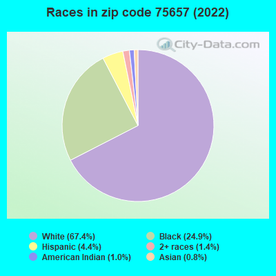 Races in zip code 75657 (2019)
