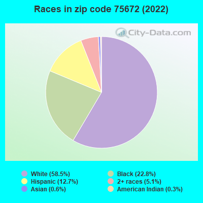 Races in zip code 75672 (2019)