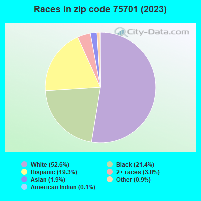 Races in zip code 75701 (2022)