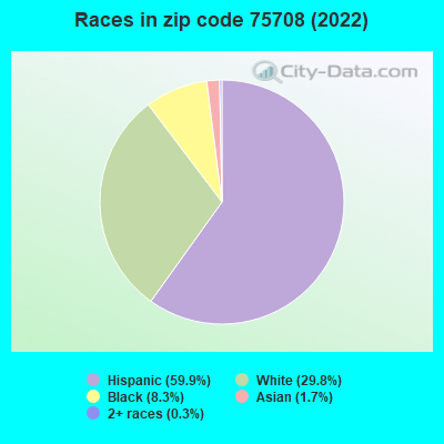 Races in zip code 75708 (2022)