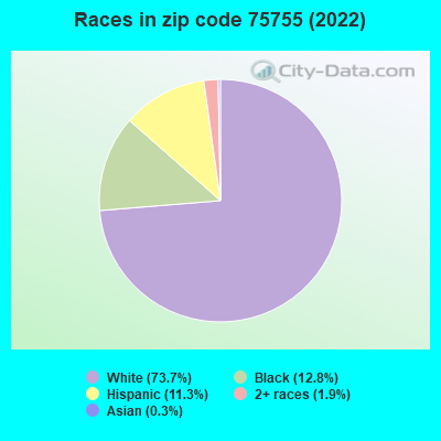 Races in zip code 75755 (2022)