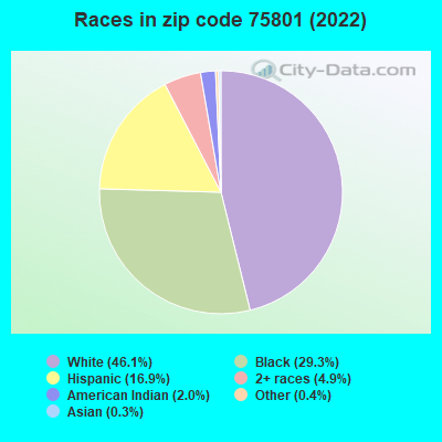 Races in zip code 75801 (2019)