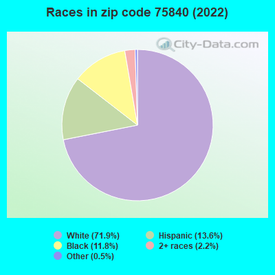 Races in zip code 75840 (2019)
