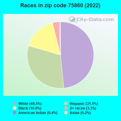 Races in zip code 75860 (2019)