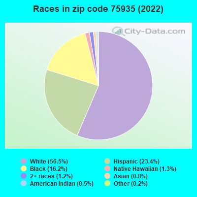 Races in zip code 75935 (2019)
