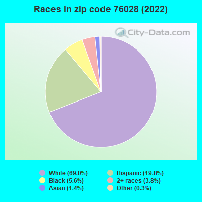 Races in zip code 76028 (2022)