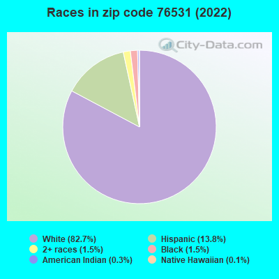 Races in zip code 76531 (2019)