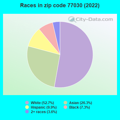 Races in zip code 77030 (2019)