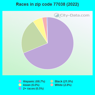 Races in zip code 77038 (2022)