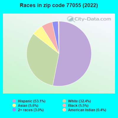 Races in zip code 77055 (2019)
