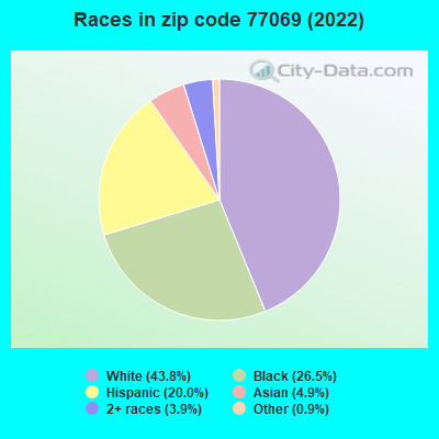 Races in zip code 77069 (2019)
