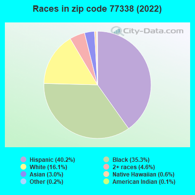 Races in zip code 77338 (2019)