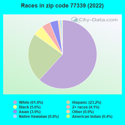 Races in zip code 77339 (2022)