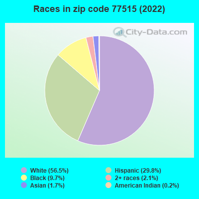 Races in zip code 77515 (2021)