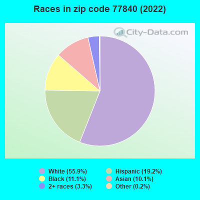 Races in zip code 77840 (2019)