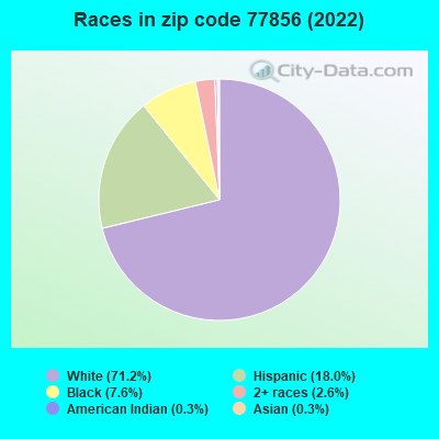 Races in zip code 77856 (2019)