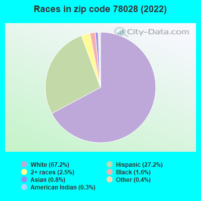 Races in zip code 78028 (2019)