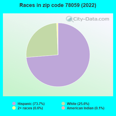 Races in zip code 78059 (2019)