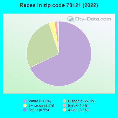 Races in zip code 78121 (2019)