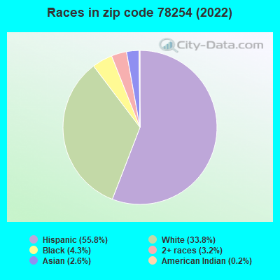 Races in zip code 78254 (2022)