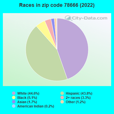 Races in zip code 78666 (2019)
