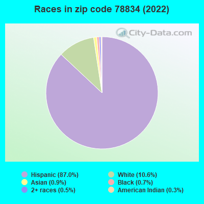 Races in zip code 78834 (2021)