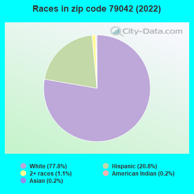 Races in zip code 79042 (2019)
