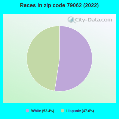 Races in zip code 79062 (2022)