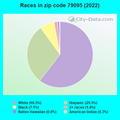 Races in zip code 79095 (2022)