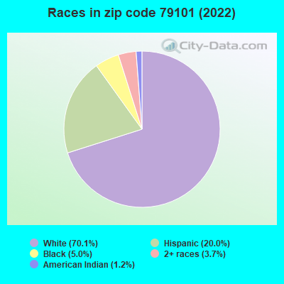Races in zip code 79101 (2021)