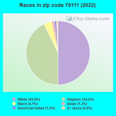 Races in zip code 79111 (2022)
