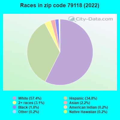 Races in zip code 79118 (2019)