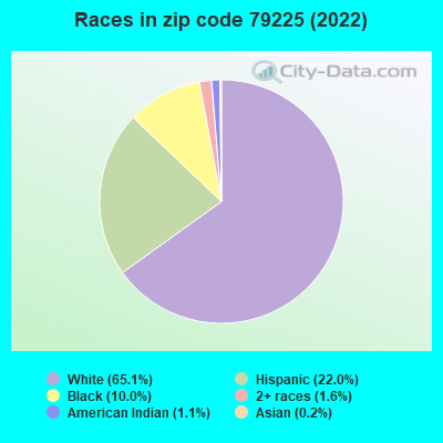 Races in zip code 79225 (2022)