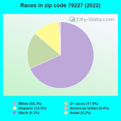 Races in zip code 79227 (2019)