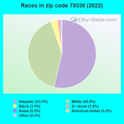 Races in zip code 79336 (2021)