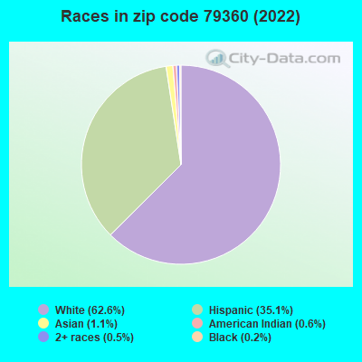 Races in zip code 79360 (2021)
