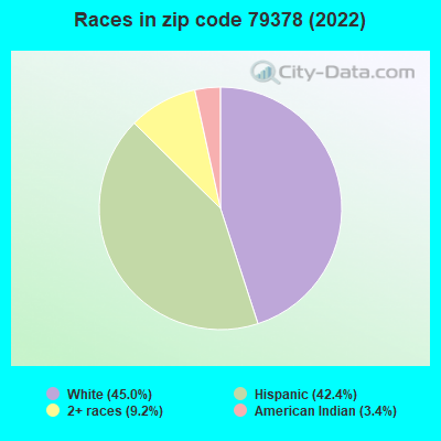 Races in zip code 79378 (2022)