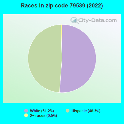 Races in zip code 79539 (2022)
