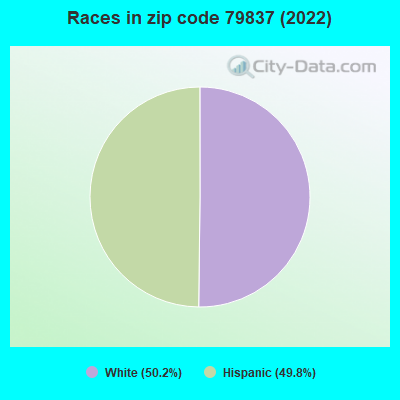 Races in zip code 79837 (2019)