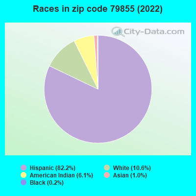Races in zip code 79855 (2019)