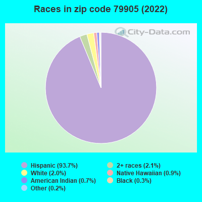 Races in zip code 79905 (2021)