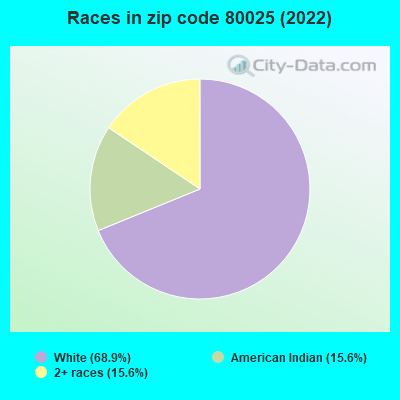 Races in zip code 80025 (2022)