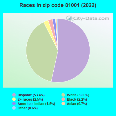 Races in zip code 81001 (2019)