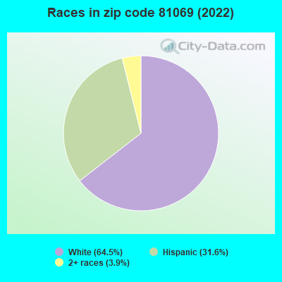 Races in zip code 81069 (2022)
