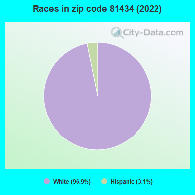 Races in zip code 81434 (2019)