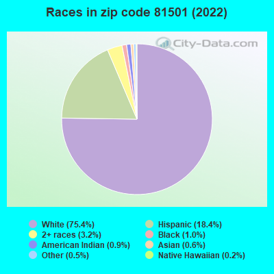 Races in zip code 81501 (2019)