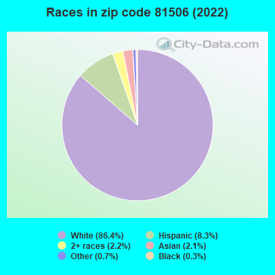 Races in zip code 81506 (2019)