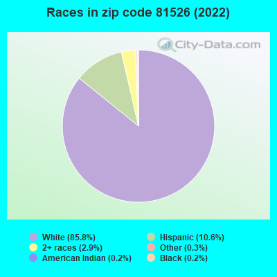 Races in zip code 81526 (2019)