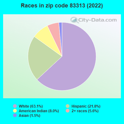 Races in zip code 83313 (2022)